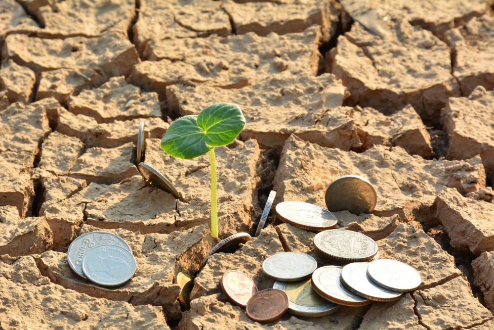 Resource Autonomy Amid Resource Scarcity: Is It the Solution?