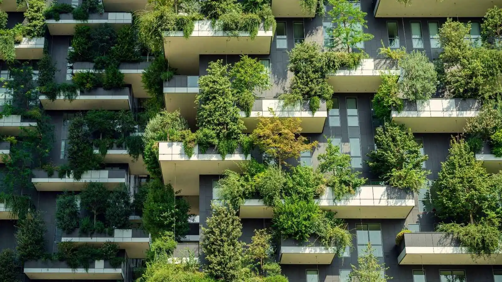 Advancing Green Building Materials for Sustainable Development