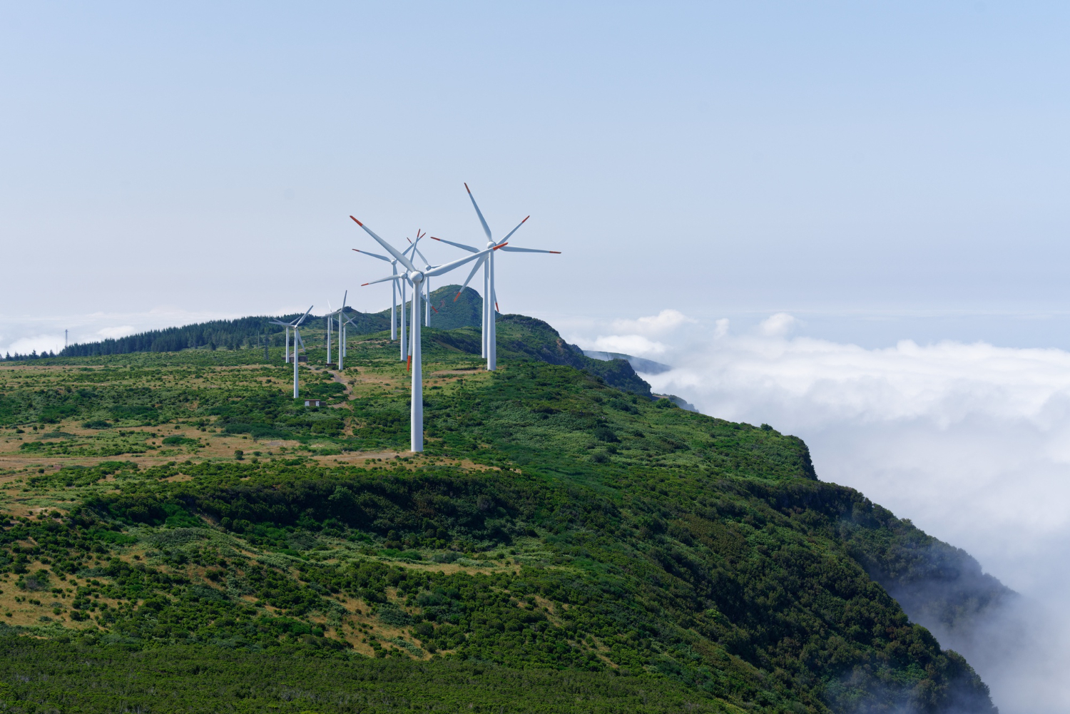 Sustainable Shift: Navigating the Green Path for Vietnamese Businesses