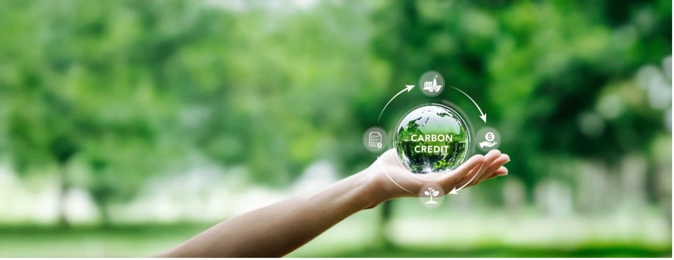 Carbon Trading Systems and the Reshaping of the Construction Industry’s Future