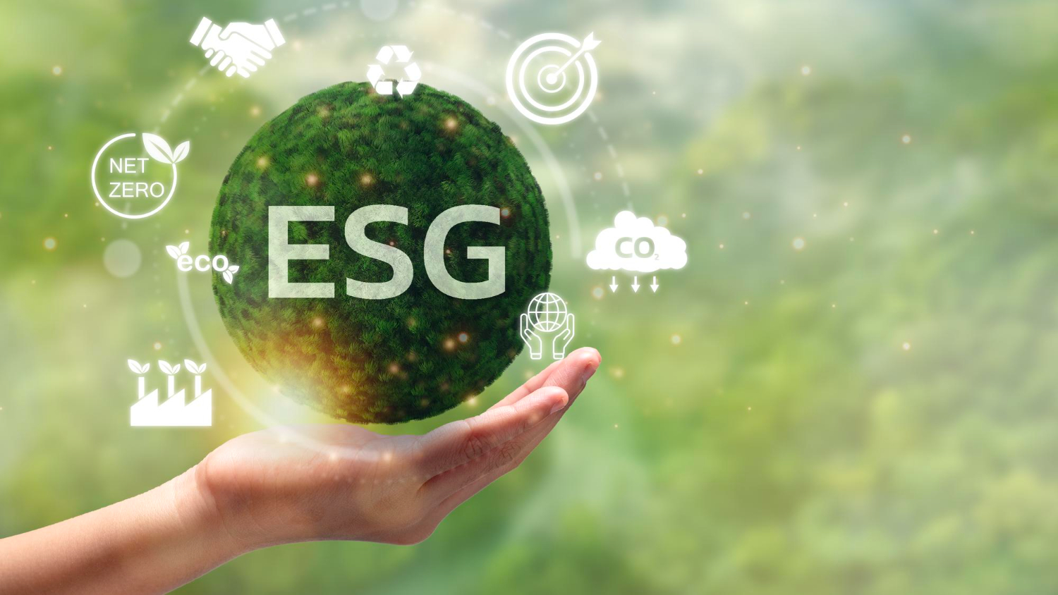 Từ tuyên bố đến thực thi ESG trong doanh nghiệp Việt